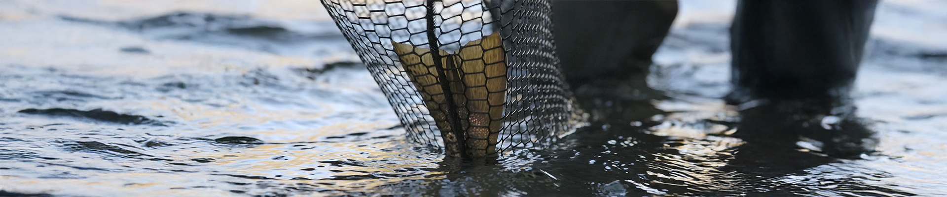 Vivarelli-7vl60urmucpz