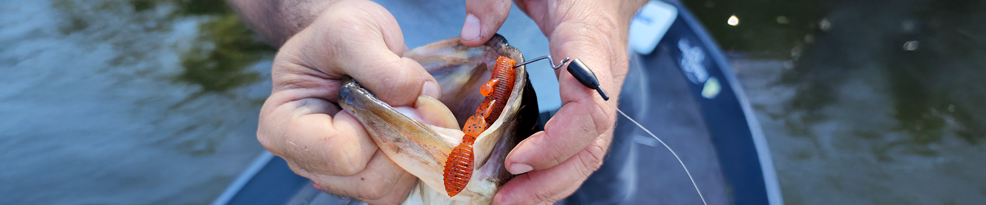 Yamamoto-2mul7rjg6nl